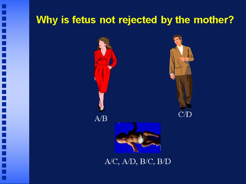 Why is fetus not rejected by the mother? A/B C/D A/C, A/D, B/C, B/D
